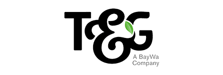 t-and-g-logo